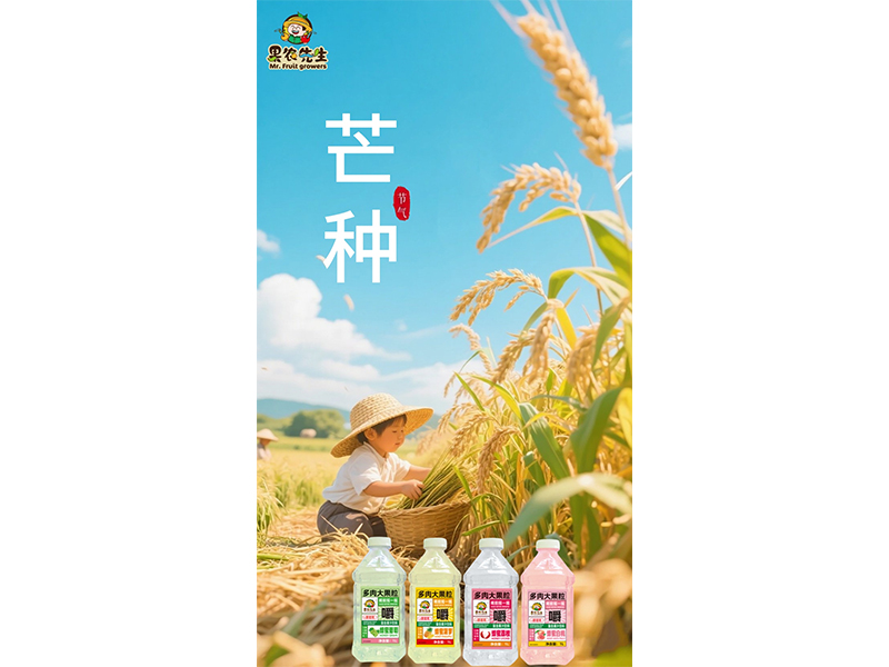 仲夏嬋長鳴 芒種正當時